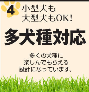 小型犬も大型犬もOK１多犬種対応